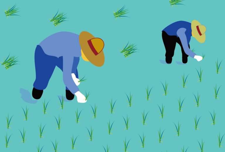 【農地改革とは】簡単にわかりやすく解説!!目的や内容・結果・地主没落など