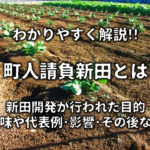 【享保の改革とは】簡単にわかりやすく解説!!目的や内容・結果・語呂合わせなど