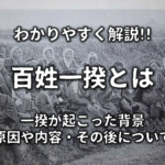 【町人請負新田とは】簡単に分かりやすく解説!!意味や目的・影響・その後など