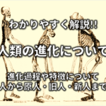旧石器時代 縄文時代 新石器時代の違い 簡単にわかりやすく解説 日本史事典 Com