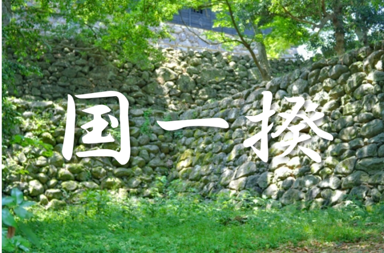 【土一揆・国一揆・一向一揆・百姓一揆の違い】簡単にわかりやすく解説!! | 日本史事典.com|受験生のための日本史ポータルサイト